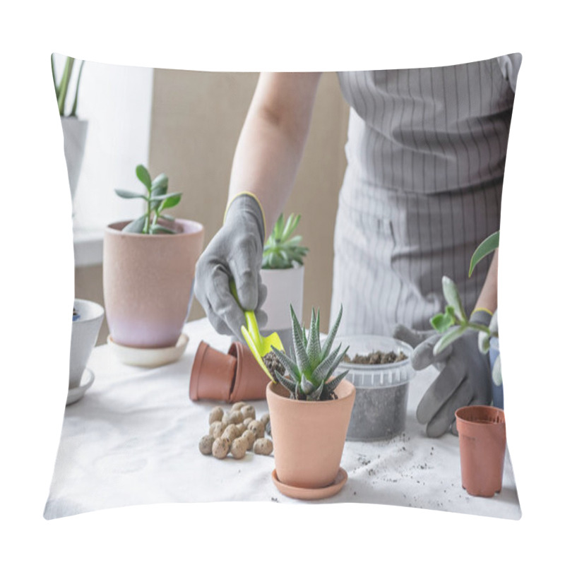 Personality  Woman Gardener Transplantion Succulent. Concept Of Home Gardening And Planting Flowers In Pot, Plant Home Decoration - Image Pillow Covers