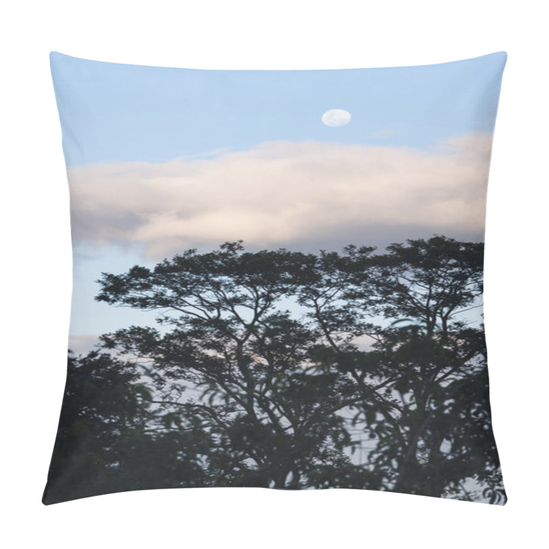 Personality  Serene Dusk With Moon And Clouds And Exotic Tree In The Foreground, Shot In Australia Pillow Covers