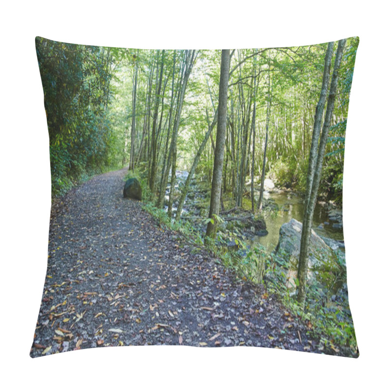 Personality  Serene Autumn Scene On Little River Trail, Smoky Mountains, Tennessee - A Peaceful Hiking Adventure In The Heart Of Nature Pillow Covers