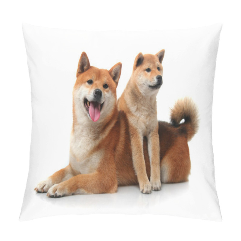 Personality  Two Shiba Inu Dogs On White Pillow Covers