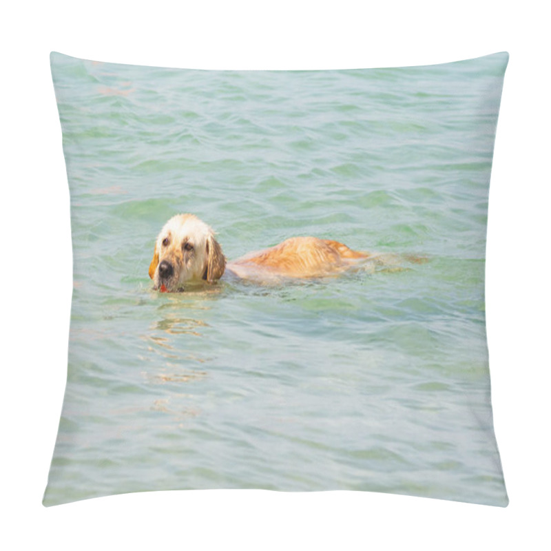 Personality  Dog Breed Labrador Swims In The Sea Pillow Covers