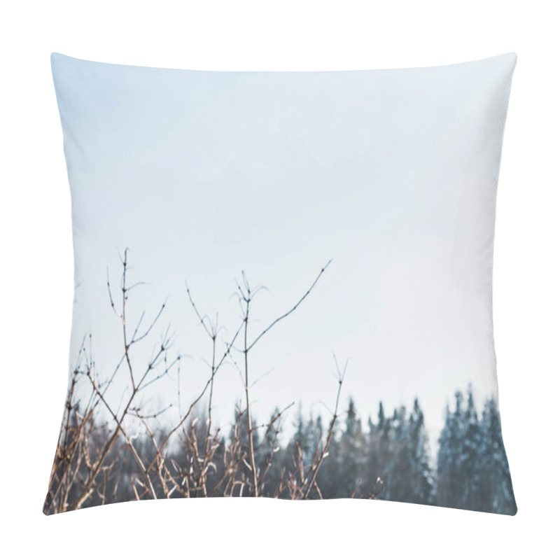 Personality  Selective Focus Of Dry Tree Branches In Winter Pillow Covers