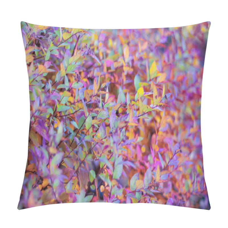 Personality  Vibrant Leaves In Various Shades Of Purple, Yellow, And Orange Create A Stunning Autumnal Display. Pillow Covers