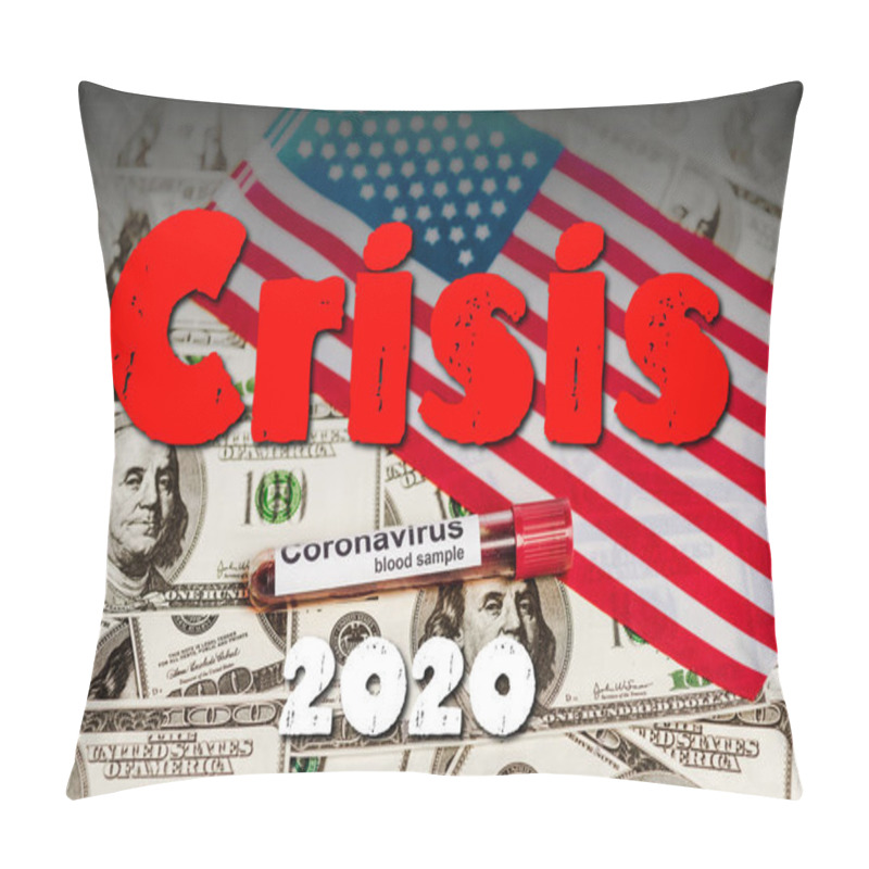 Personality  American Flag And Coronavirus Blood Sample On Dollar Banknotes, Crisis 2020 Illustration Pillow Covers