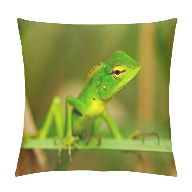 Personality  Green Garden Lizard Pillow Covers