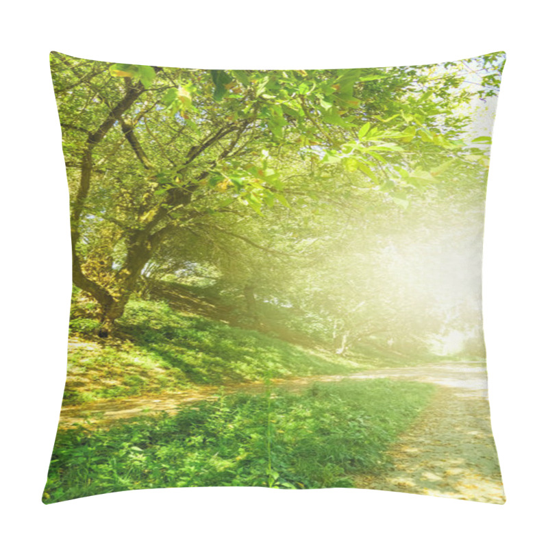 Personality  Beautiful Sunny Spring And Summer Nature, Trees In Park And Outdoor Landscape Pillow Covers