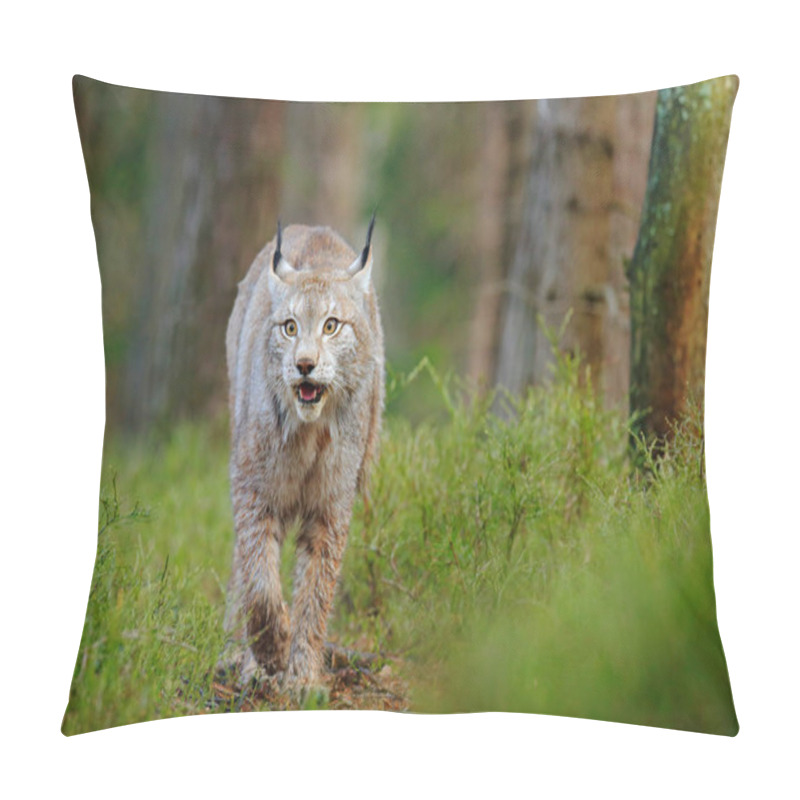 Personality  Lynx In Green Forest. Wildlife Scene From Nature. Walking Eurasian Lynx, Animal Behaviour In Habitat. Wild Cat From Germany. Wild Bobcat Between The Trees. Hunting Carnivore In Autumn Grass. Pillow Covers