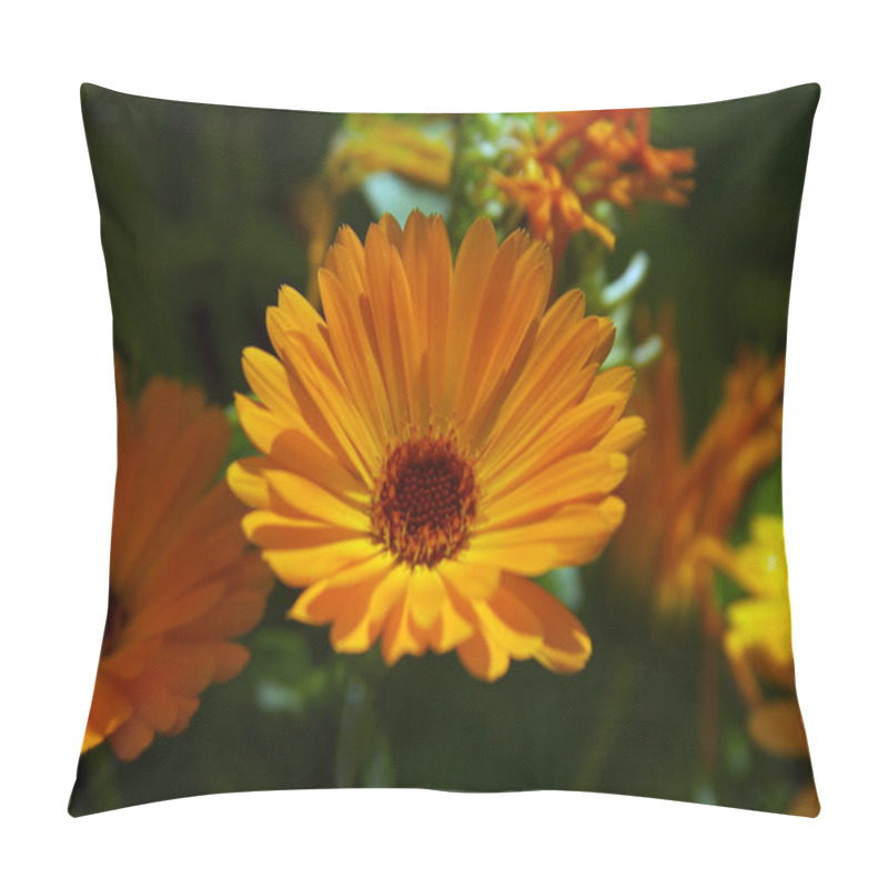 Personality  Gerbera Flower Petals, Flora Pillow Covers