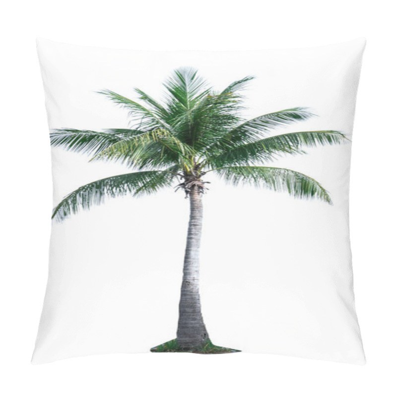 Personality  Coconut Tree Isolated On White Background Used For Advertising Decorative Architecture. Summer And Beach Concept ,with Clipping Path. Pillow Covers