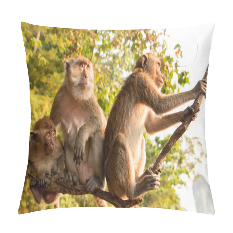 Personality  Monkey Family Sitting On A Tree Looking Pillow Covers