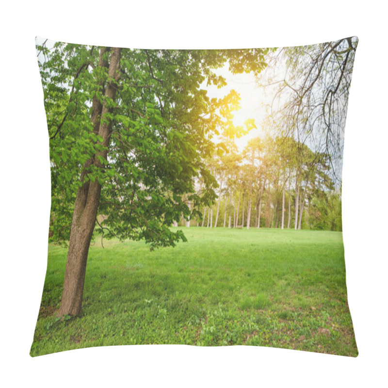 Personality  Sunlight In The Green Forest Springtime Pillow Covers