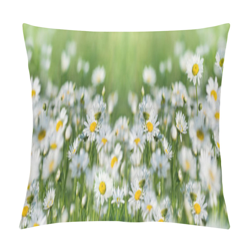 Personality  Selective And Soft Focus On Daisy Flowers, Flowering Daisy Flower In Meadow In Spring Pillow Covers