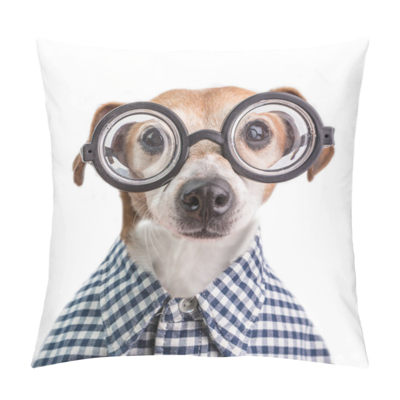 Personality  Funny Nerd Dog Portrait In Round Glasses And Checkered Shirt. White Background Pillow Covers