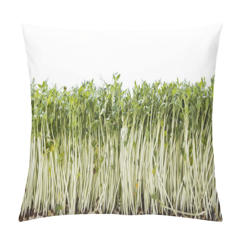 Personality  Green Garden Cress Pillow Covers