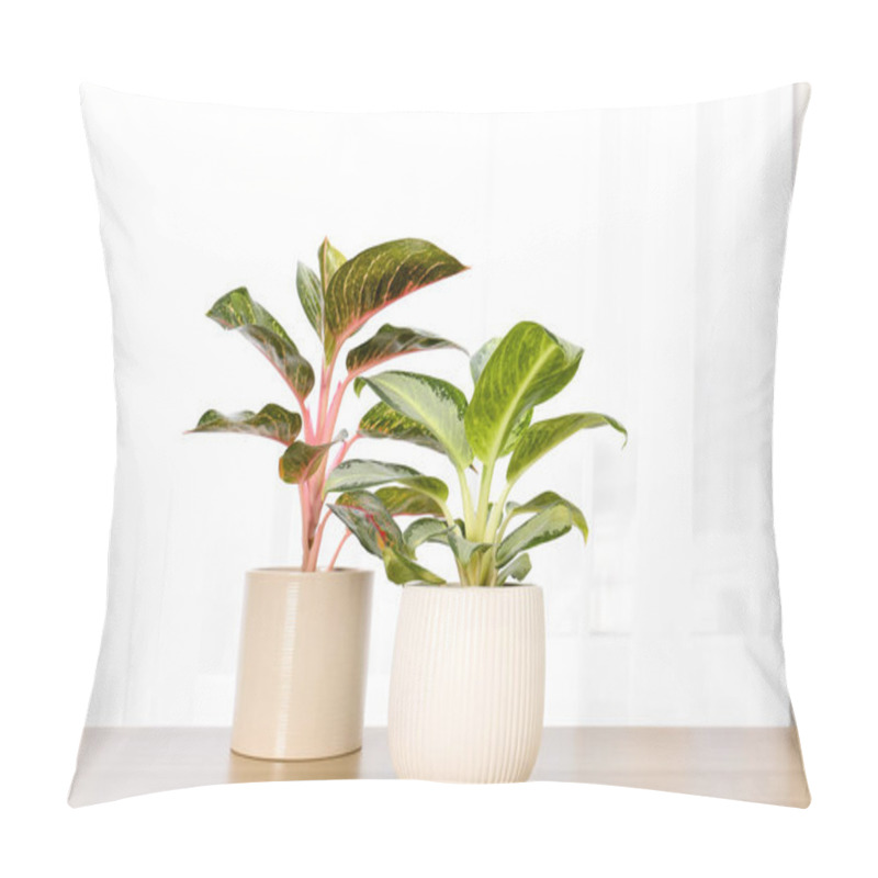 Personality  Beautiful Houseplants On Wooden Table Near Window Indoors Pillow Covers