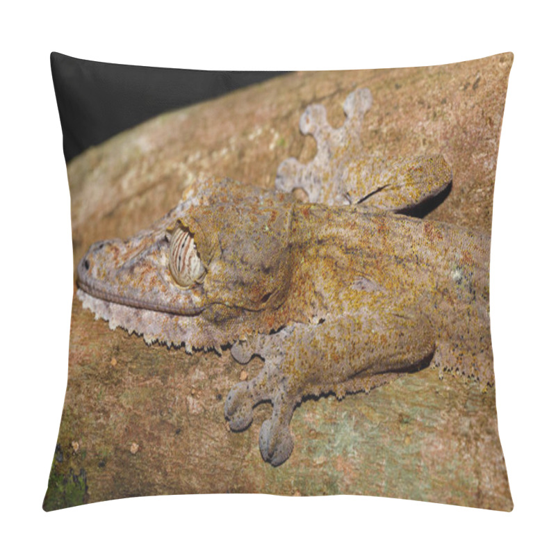 Personality  Leaf-tailed Gecko, Uroplatus Fimbriatus, Madagascar Pillow Covers