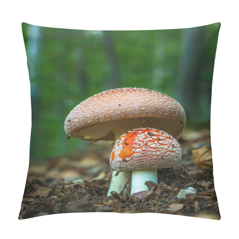 Personality  Amanita Muscaria, Poisonous Mushroom. Photo Has Been Taken In The Natural Forest Background. Pillow Covers