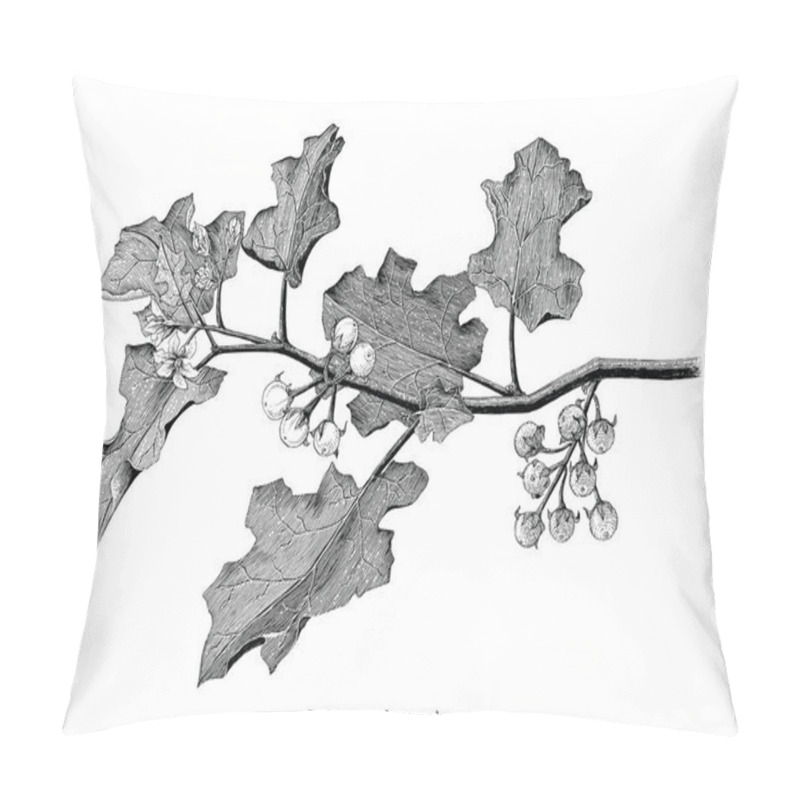 Personality  Solanum Branch Clipart Hand Drawing Engraving Illustration  Pillow Covers