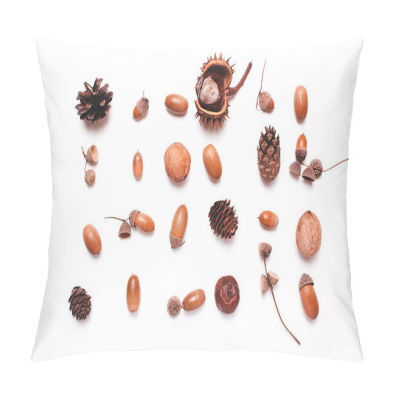 Personality  Composition Of Chestnut, Pine Cones, Acorns On A White Backgroun Pillow Covers