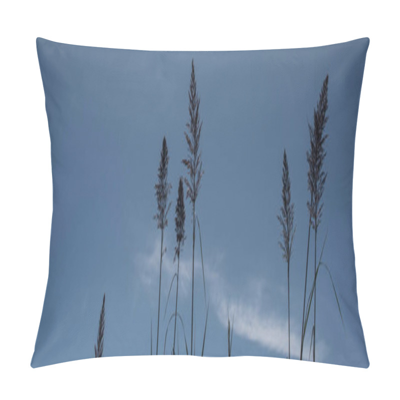 Personality  Stems Of Feather Reed Grass With Blue Sky At Background, Panoramic Shot Pillow Covers