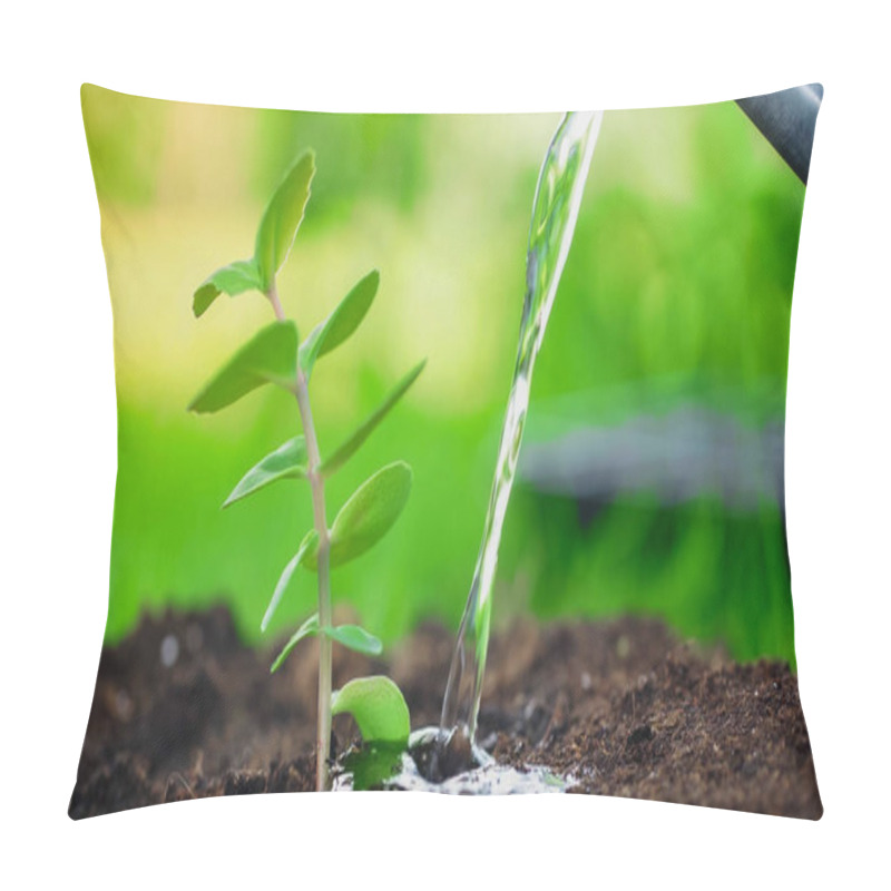 Personality  Close Up View Of Water Near Blurred Plant In Soil In Garden  Pillow Covers