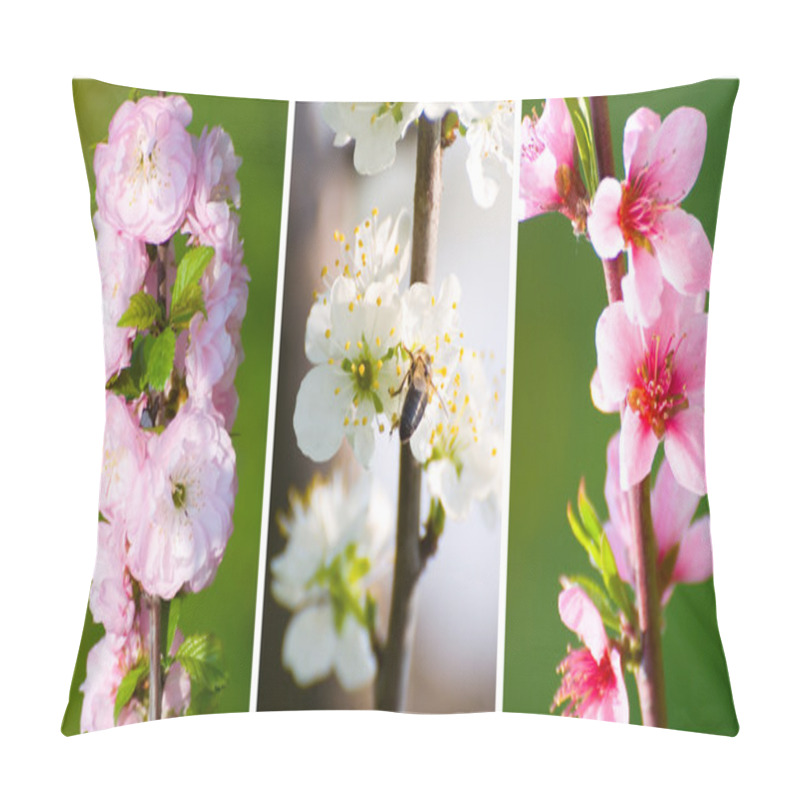 Personality  Set Of Spring Fruit Tree Blossoms Pillow Covers