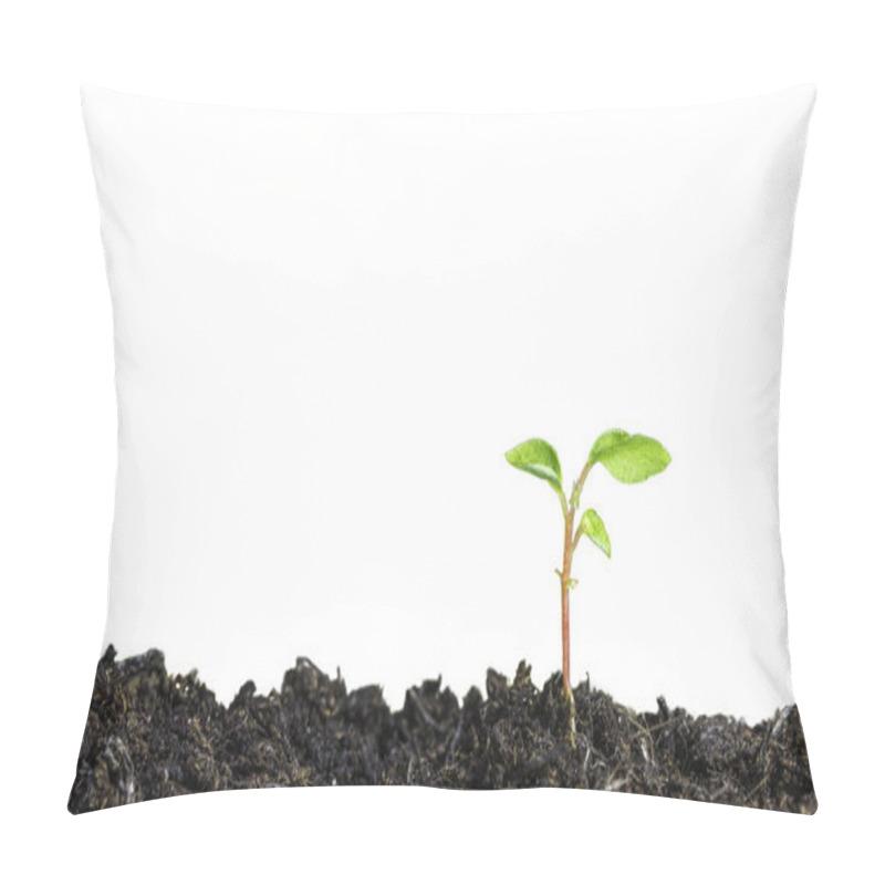 Personality  Close Up Of A Young Plant Sprouting From The Ground On White Background Pillow Covers