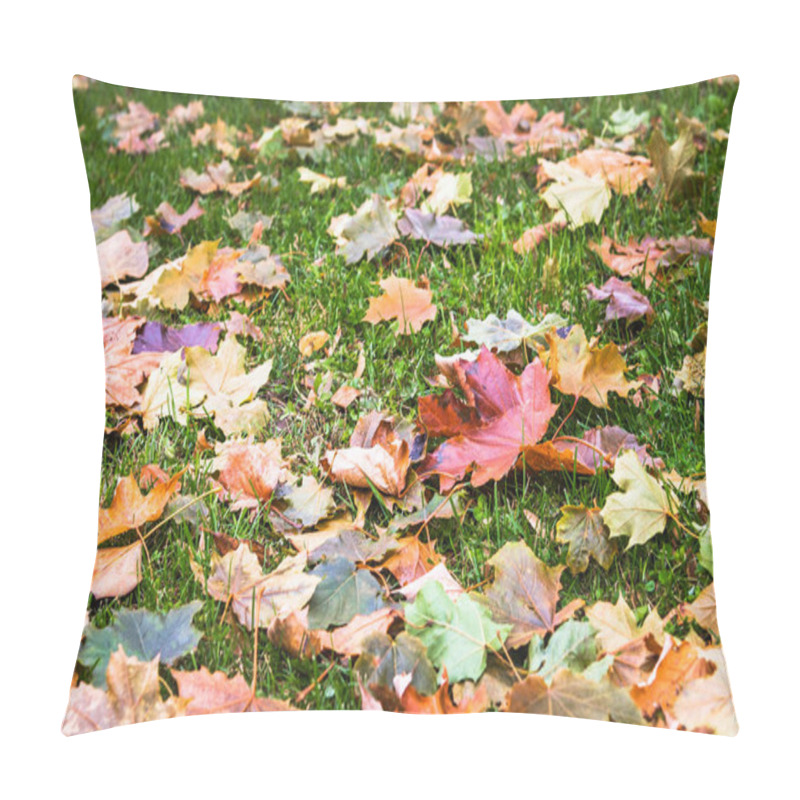 Personality  Autumn Leaves On A Grass In A Park. Selective Focus. Pillow Covers