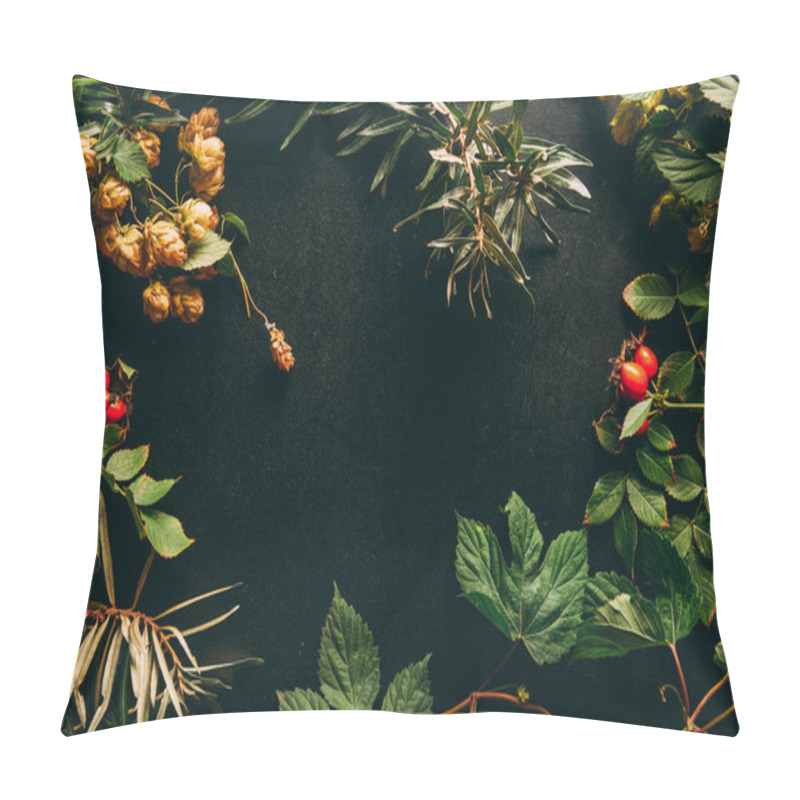 Personality  Flat Lay With Autumn Plants Arrangement On Black Background Pillow Covers