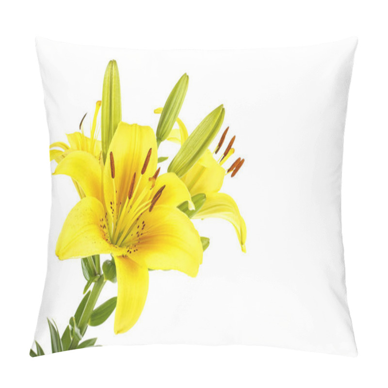 Personality  Yellow Lily Flower With Buds Isolated On A White Background Pillow Covers