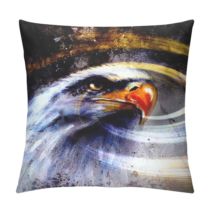 Personality  Painting  Eagle On An Abstract Background, USA Symbols Freedom Pillow Covers