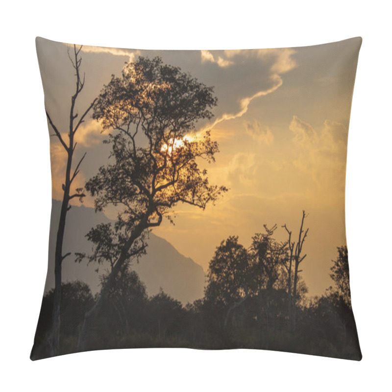 Personality  Beautiful Sunset With Tree Silhouette In Forest Area Along Masinagudi, Mudumalai National Park, Tamil Nadu - Karnataka State Border, India Pillow Covers