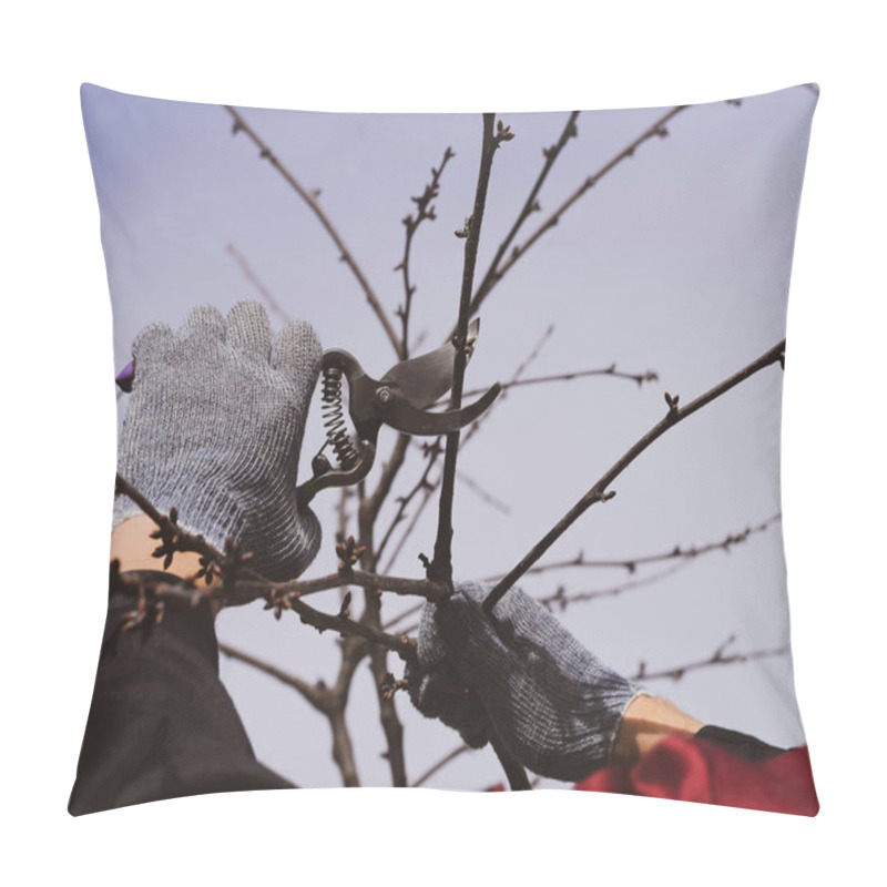 Personality  Trimming Tree With A Cutter. Spring Pruning Of Fruit Trees. Pillow Covers