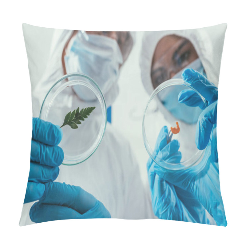 Personality  Low Angle View Of Biochemists Holding Petri Dishes With Green Leaf And Biomaterial Pillow Covers