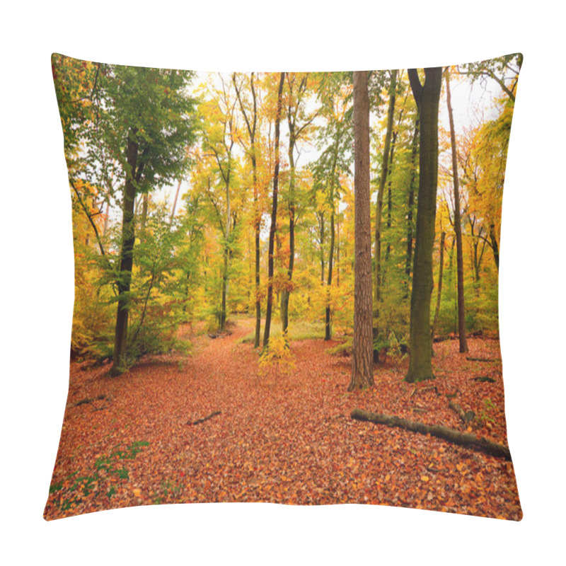 Personality  Vibrant Image Of Autumn Forest At Sunset Pillow Covers