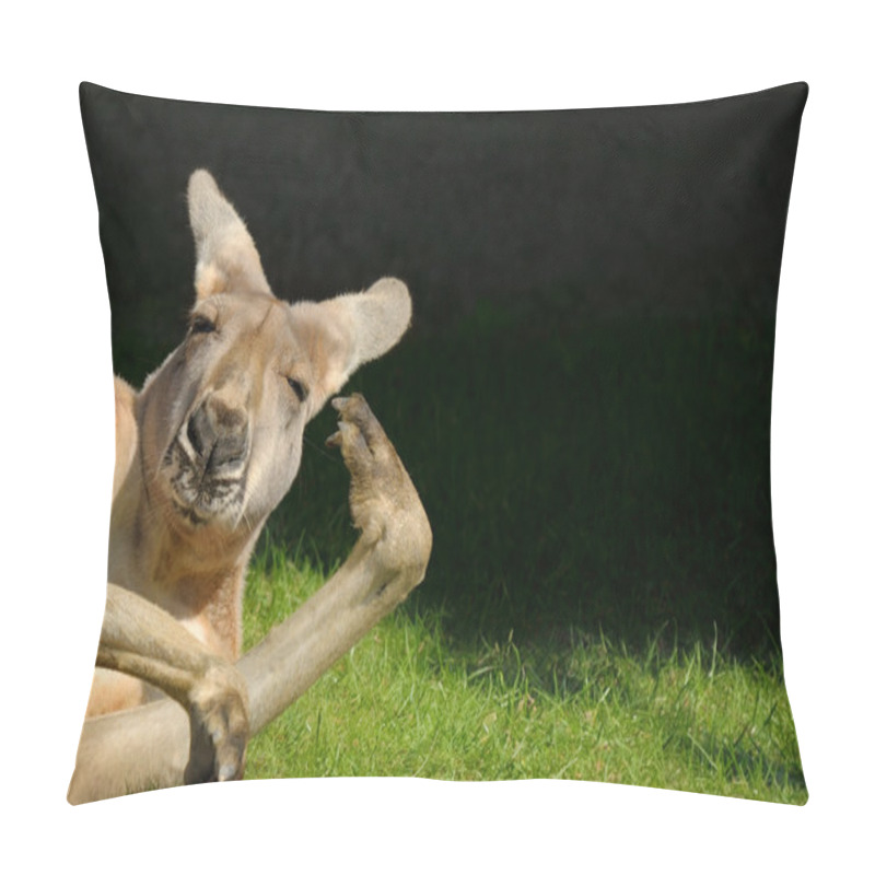 Personality  Kangaroo In Hilarious Posture Pillow Covers