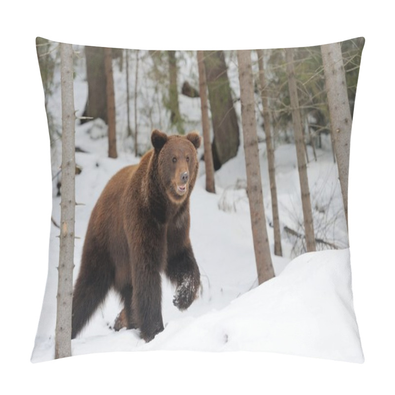 Personality  Bear In Winter Pillow Covers