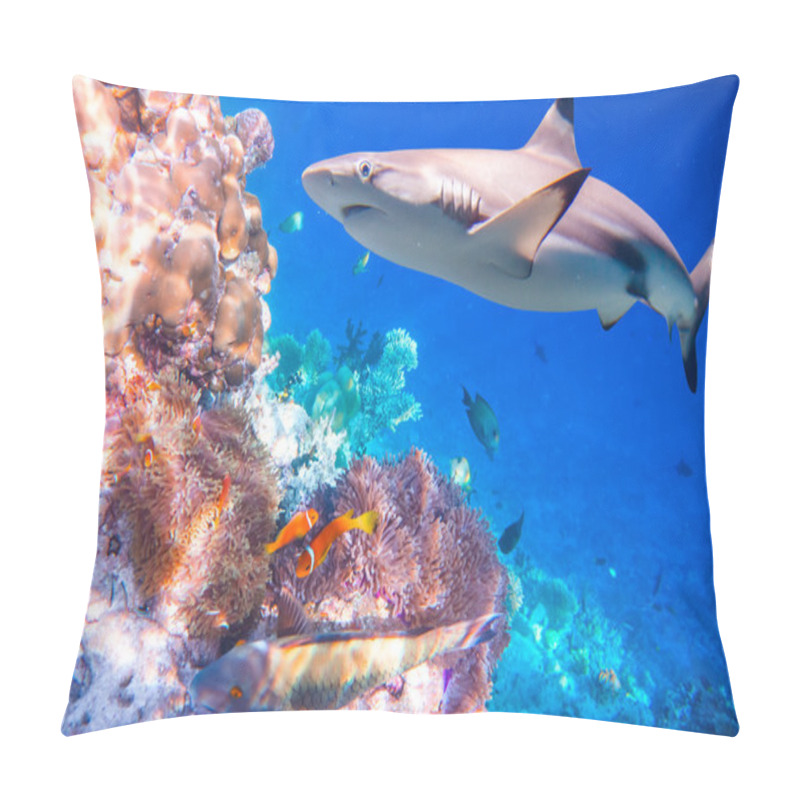 Personality  Tropical Coral Reef. Pillow Covers