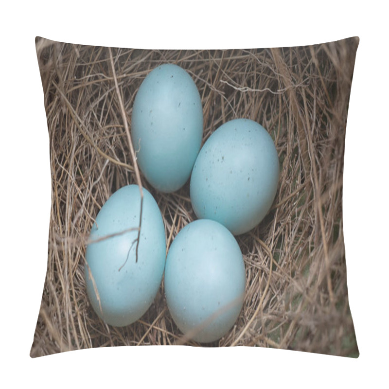 Personality  Close Shot Of Asian Glossy Starling Eggs. Pillow Covers