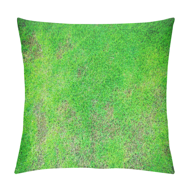 Personality  Grass Texture The Lack Of Lawn Care And Maintenance Until The Damage Pests Fungus And Disease Field In Bad Condition. Dead Grass Top View Of The Nature Background. Texture Of Green And Brown Patch. Pillow Covers