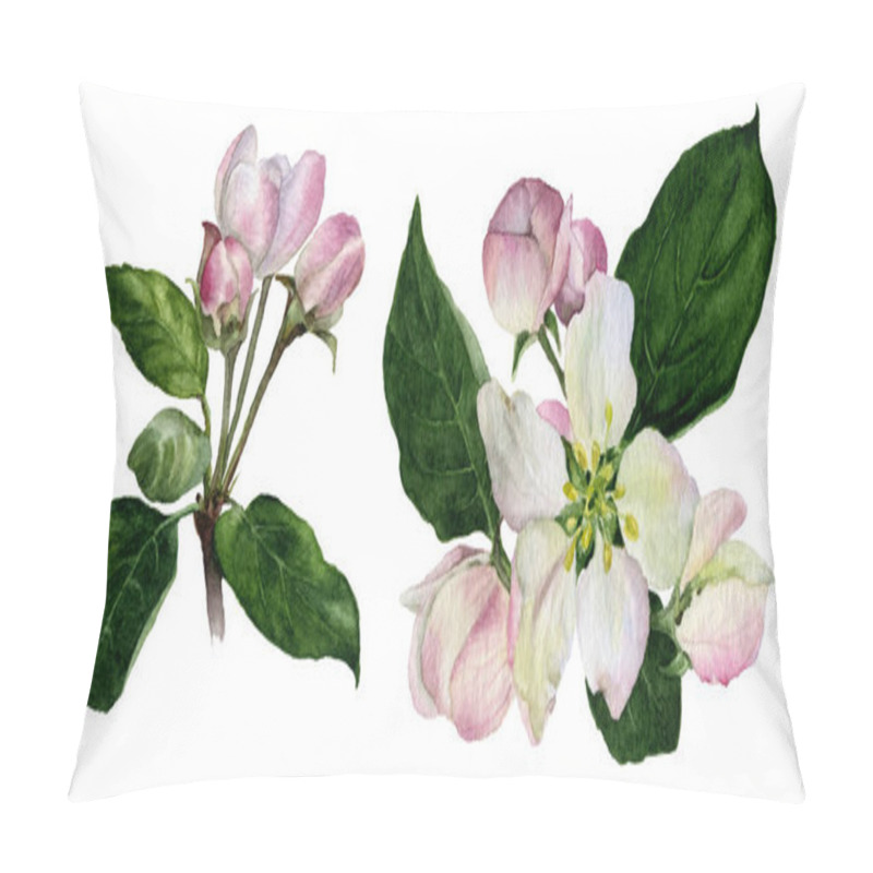 Personality  Set Of Apple Flowers And Buds With Green Leaves Hand Painted In Watercolor Isolated On The White Background Pillow Covers