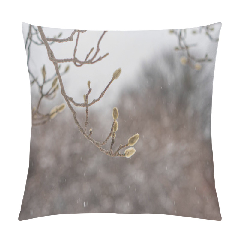 Personality  Image Depicts A Tranquil Scene Of Budding Tree Branches In Early Spring, Overcast Sky, And Fallen Petals Taken During Dusk Or Dawn, Emphasizing Natures Transition Pillow Covers