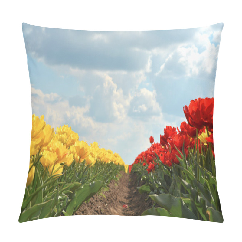 Personality  Tulips Pillow Covers