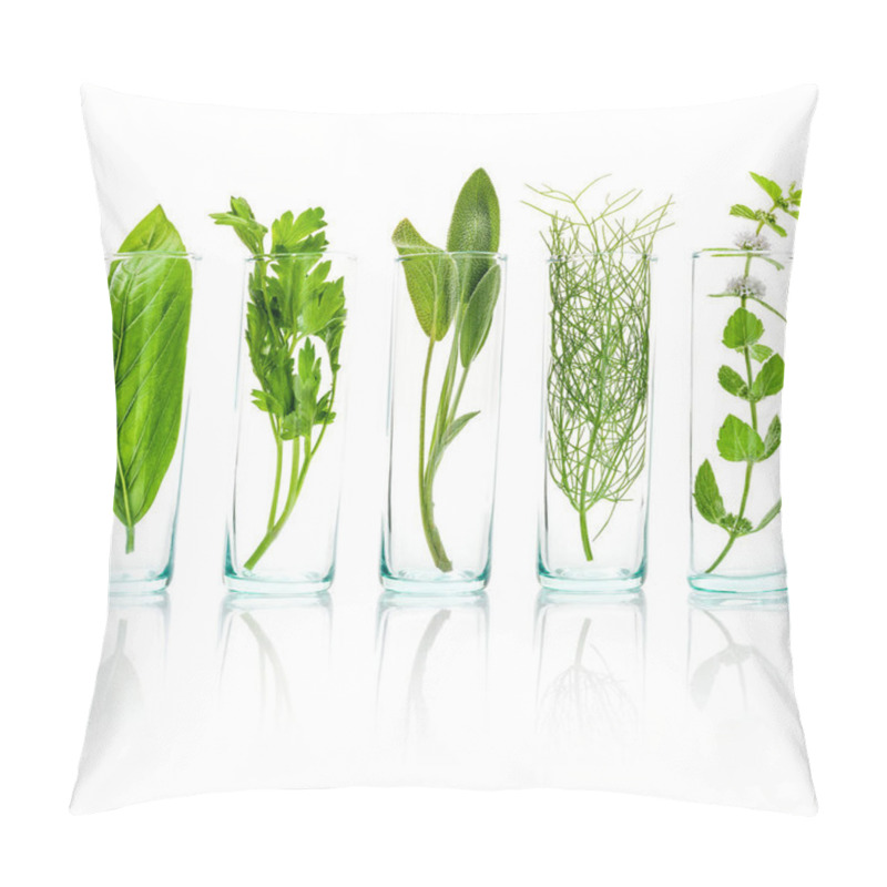 Personality  Close Up Bottles Of Fresh Aromatic Herbs . Fresh Sage Branch , S Pillow Covers