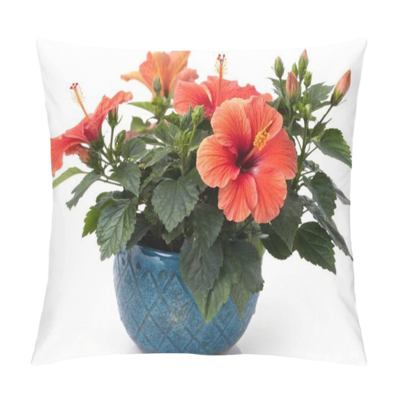 Personality  A Vibrant Arrangement Of A Hibiscus Plant (Hibiscus Rosa-sinensis) Featuring Its Large, Radiant Blooms In Shades Of Fiery Red And Orange. The Plant Is Displayed In A Textured Cobalt Blue Ceramic Pot That Adds A Bold And Tropical Touch To The Composit Pillow Covers