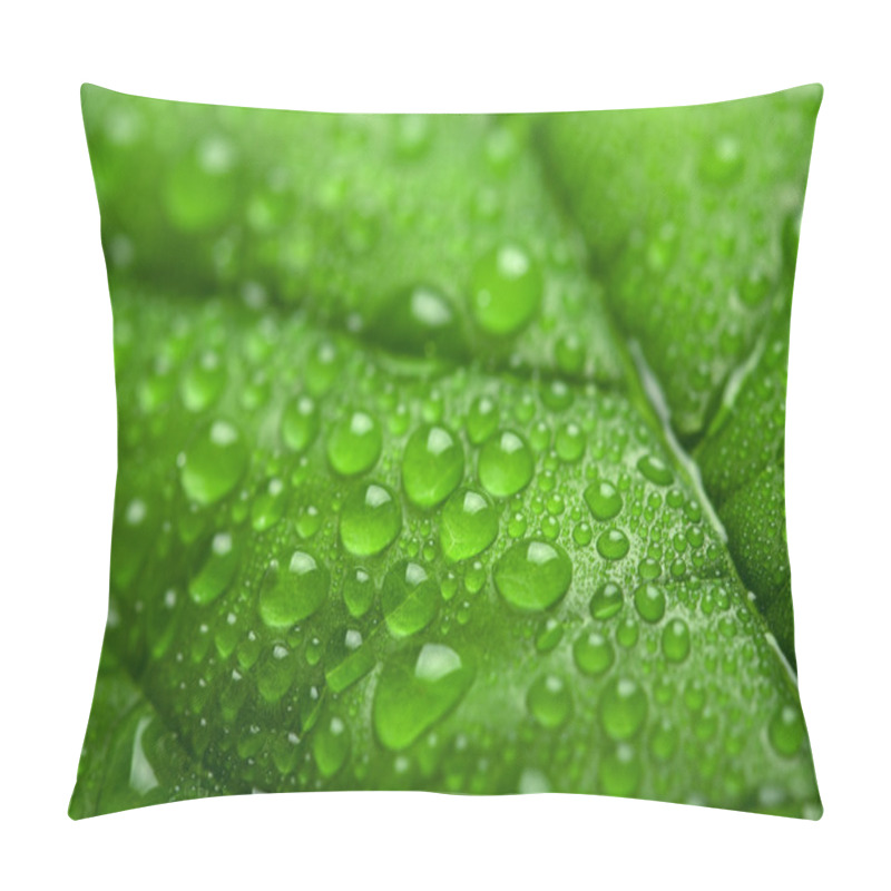 Personality  Fresh Green Leaf With Water Droplets Pillow Covers