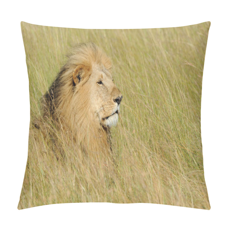 Personality  Lion In National Park Of Kenya Pillow Covers