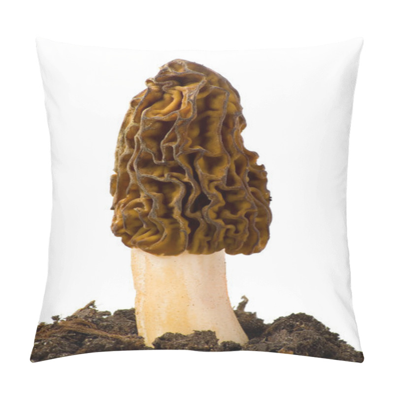 Personality  Morel Mushroom Pillow Covers