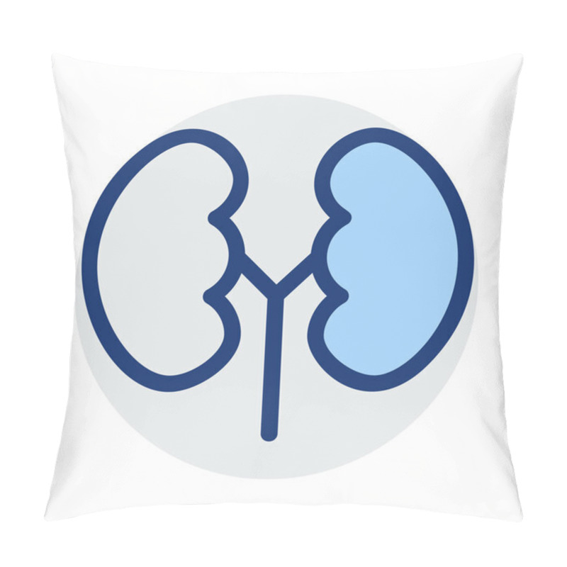 Personality  Human Kidneys Flat Icon Isolated On White Background, Vector, Illustration Pillow Covers