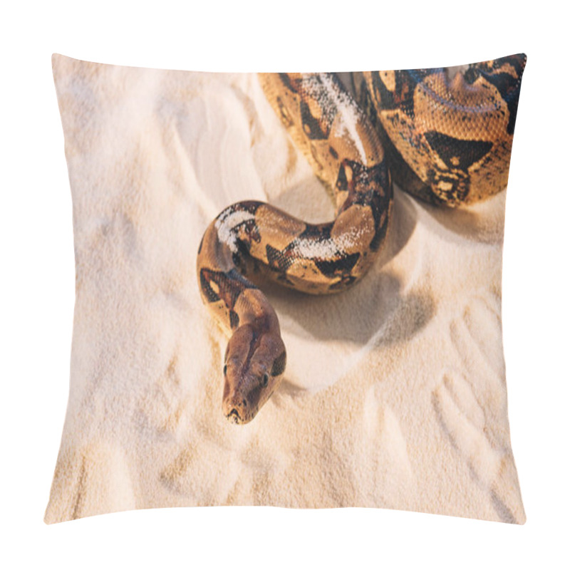 Personality  High Angle View Of Python On Textured Sand Pillow Covers